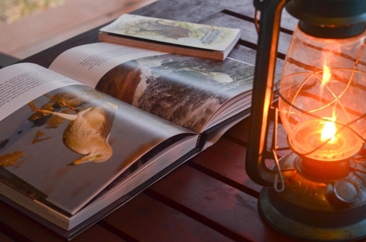 Camp Leopard - Yala Safari Glamping Hotell Exteriör bild