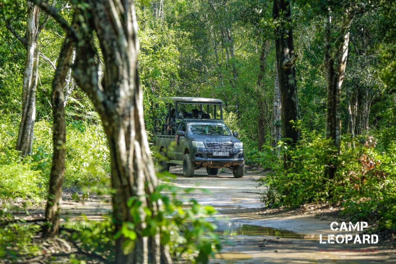 Camp Leopard - Yala Safari Glamping Hotell Exteriör bild