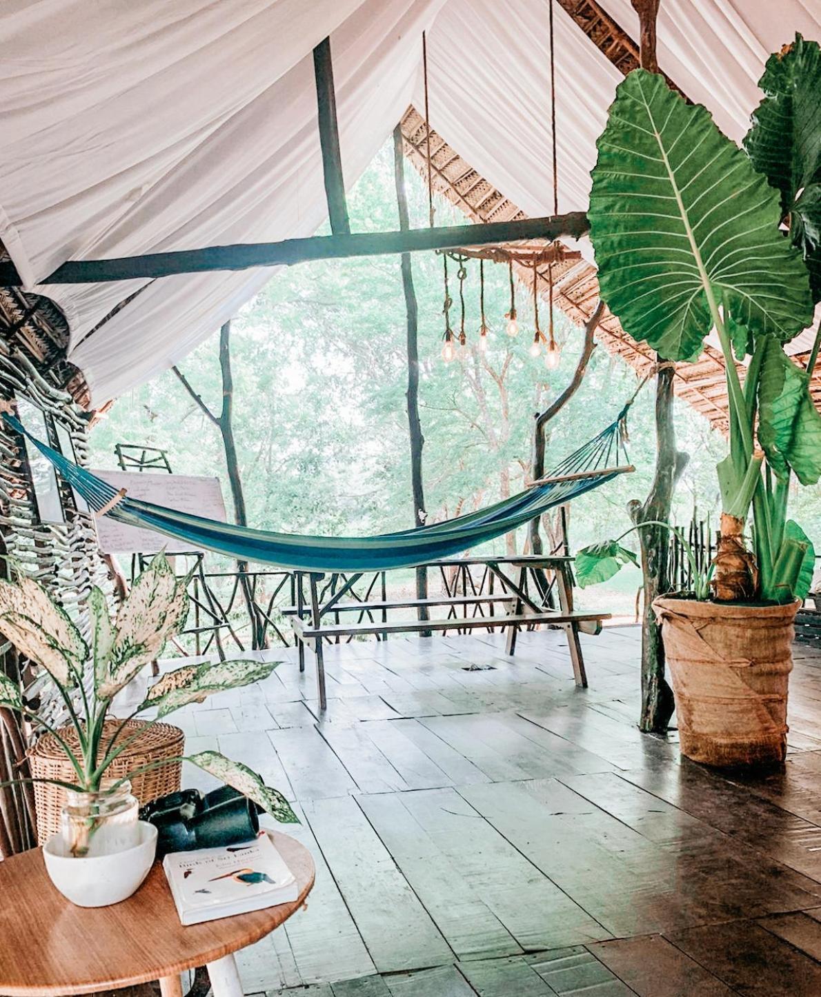 Camp Leopard - Yala Safari Glamping Hotell Exteriör bild