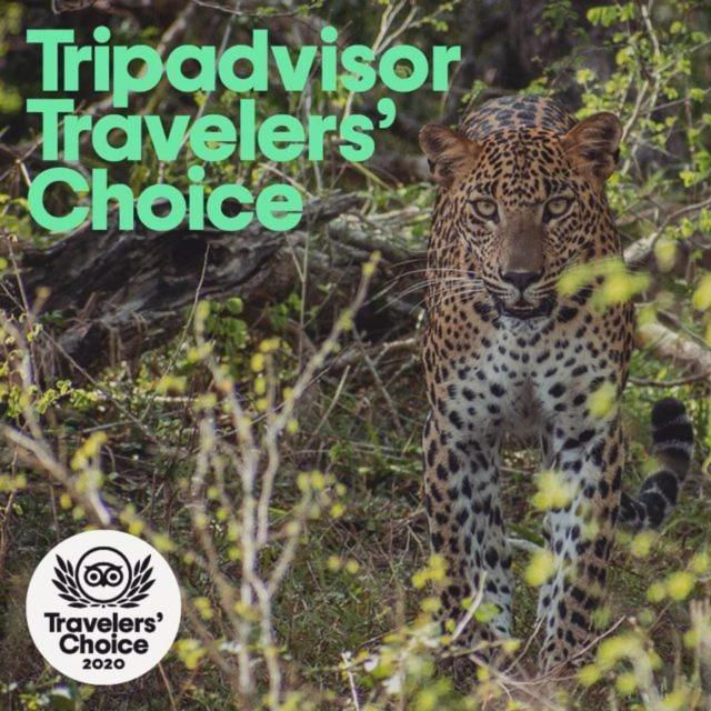 Camp Leopard - Yala Safari Glamping Hotell Exteriör bild
