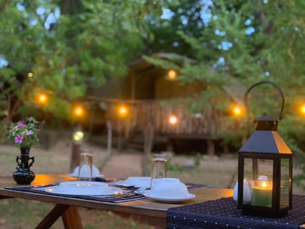 Camp Leopard - Yala Safari Glamping Hotell Exteriör bild
