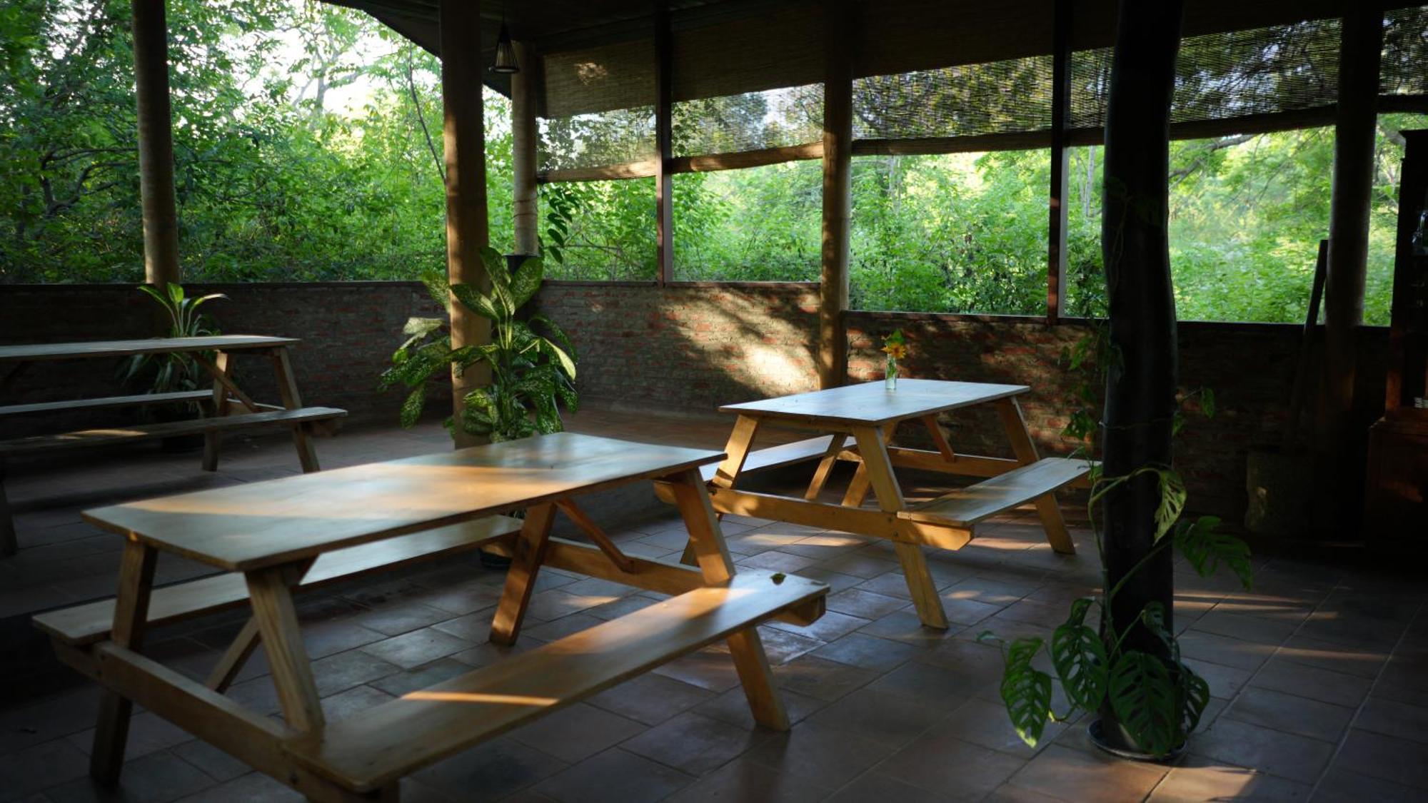 Camp Leopard - Yala Safari Glamping Hotell Exteriör bild